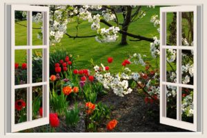 Replacement windows maple grove