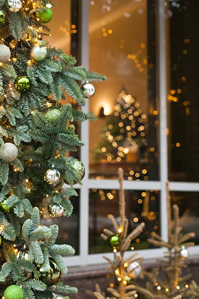 Enhancing Your Curb Appeal with Festive Windows