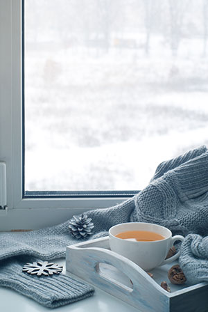 Winter-ready windows in Shoreview, MN