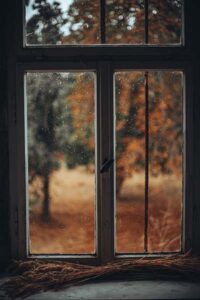 Energy-efficient replacement windows installed on a New Brighton Minnesota home before winter